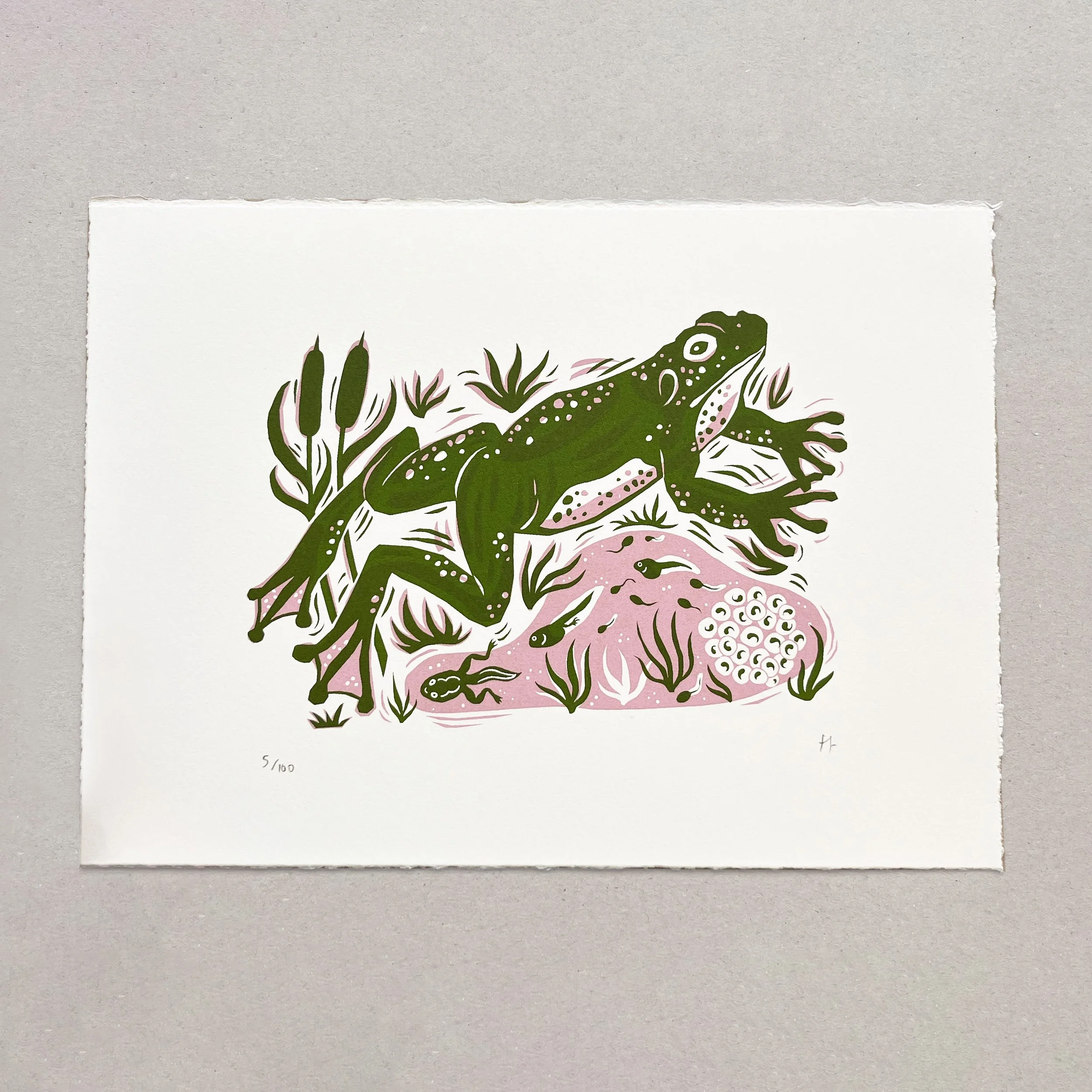 Folded+Forest+Frog+Screenprint